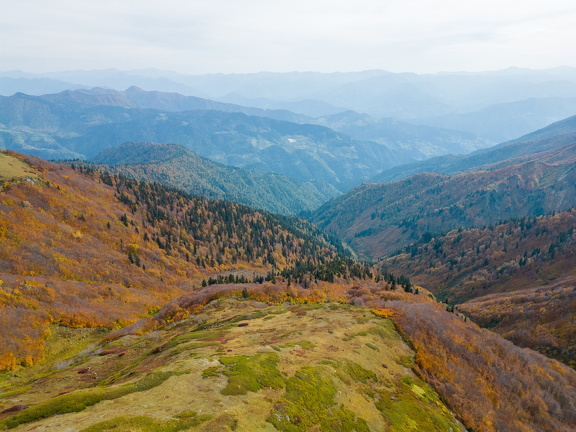 Грузия, Аджария